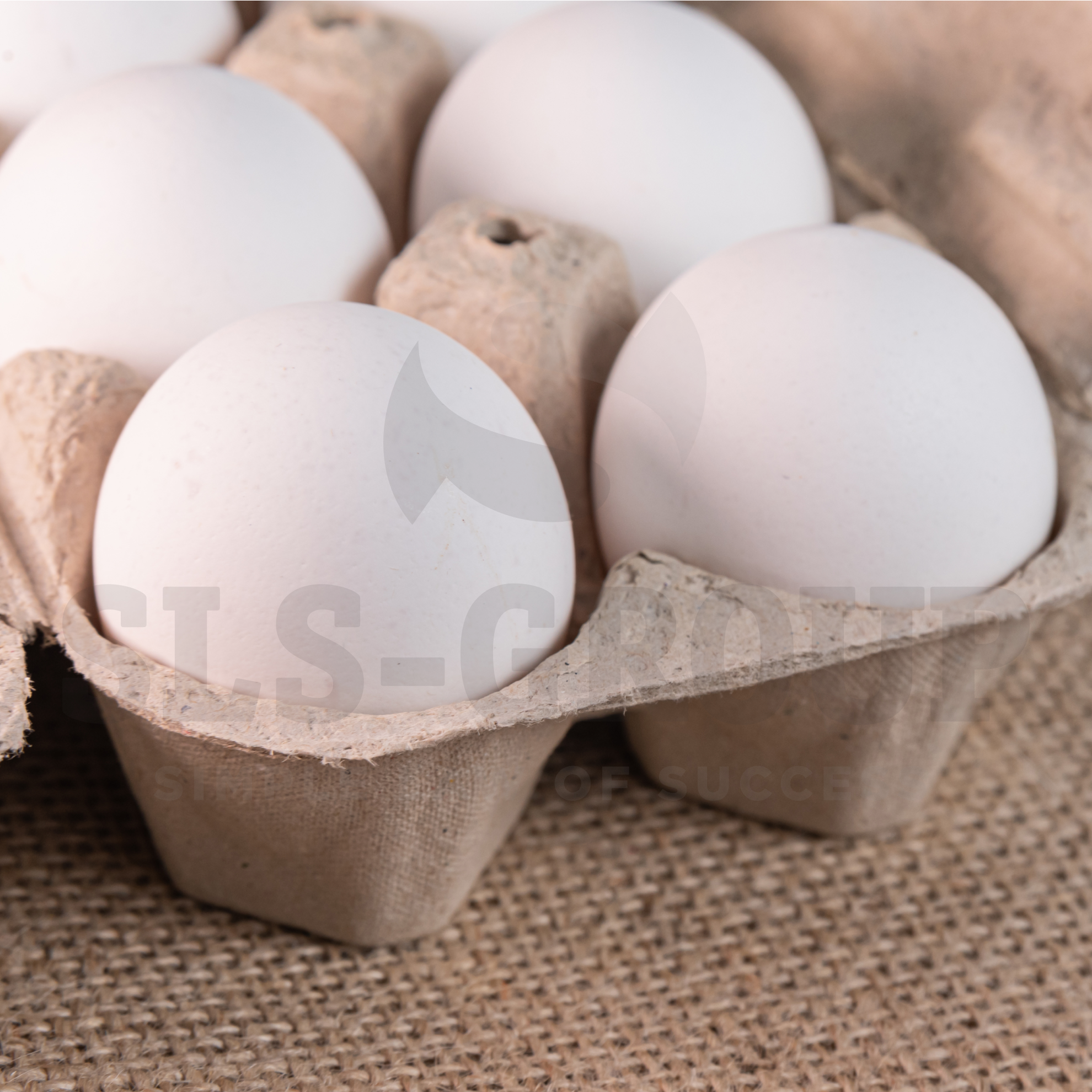 Еда, успешно прошедшая проверку на интроскопе